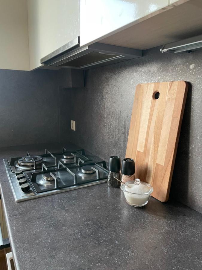 Mg Apartment カウナス エクステリア 写真